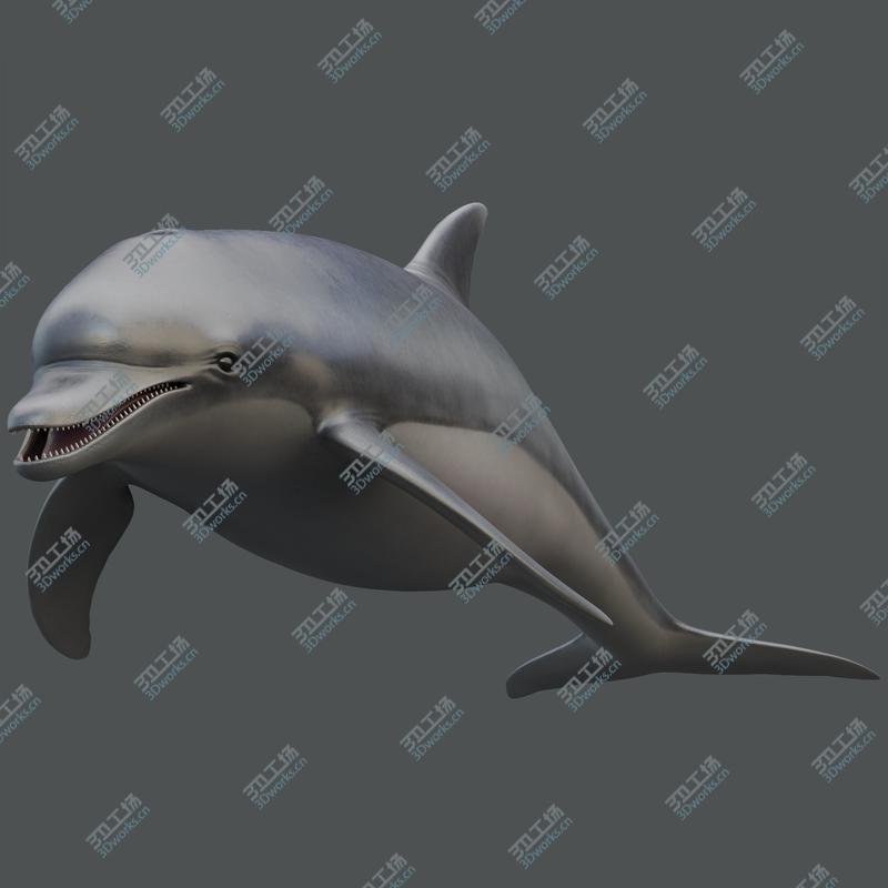 images/goods_img/202105073/3D model Animated Dolphin/2.jpg